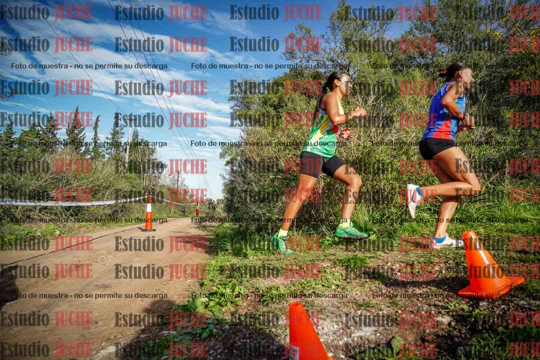 Fotos en el circuito
