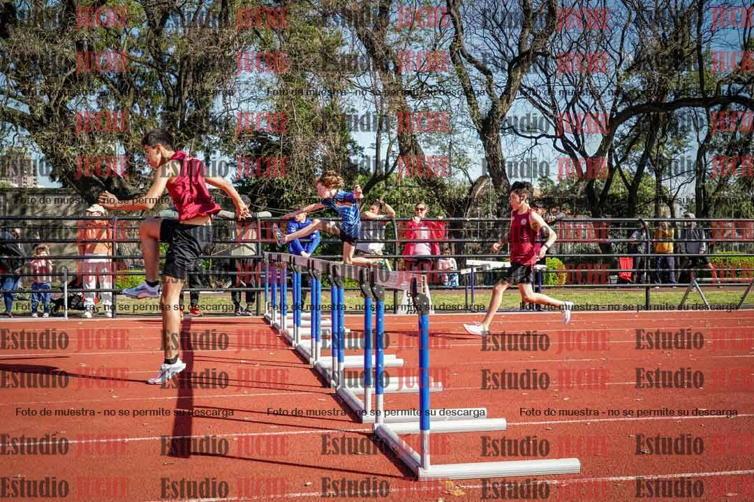 Fotos de los 110 m con vallas de varones