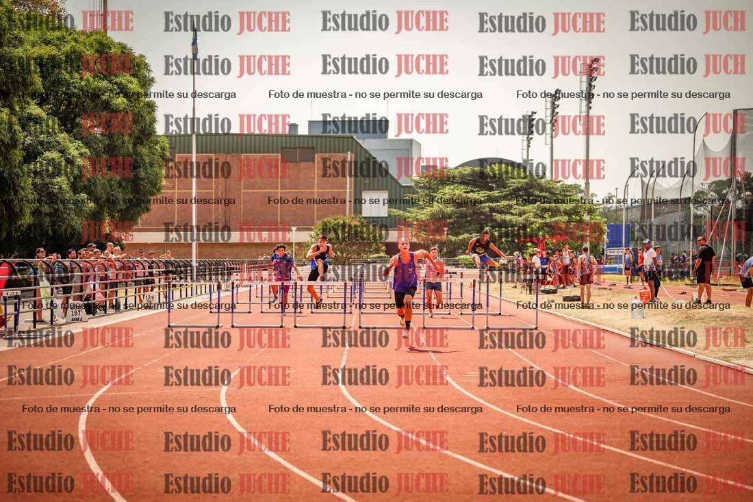 Fotos de los 110 m con vallas de varones