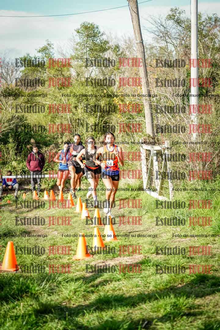 Fotos en el circuito