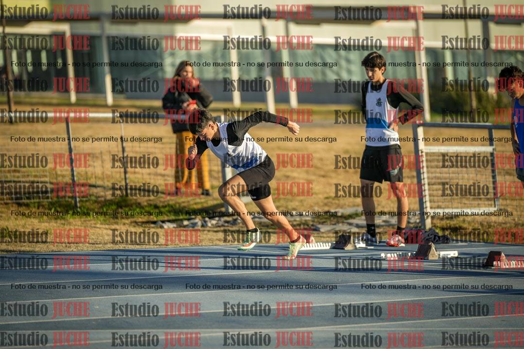 Fotos de los 110 m con vallas de varones