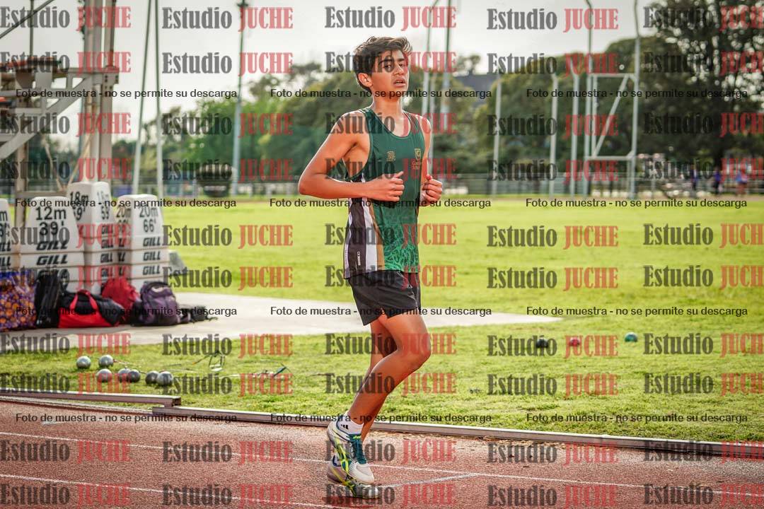 Fotos de los 110 m con vallas de varones