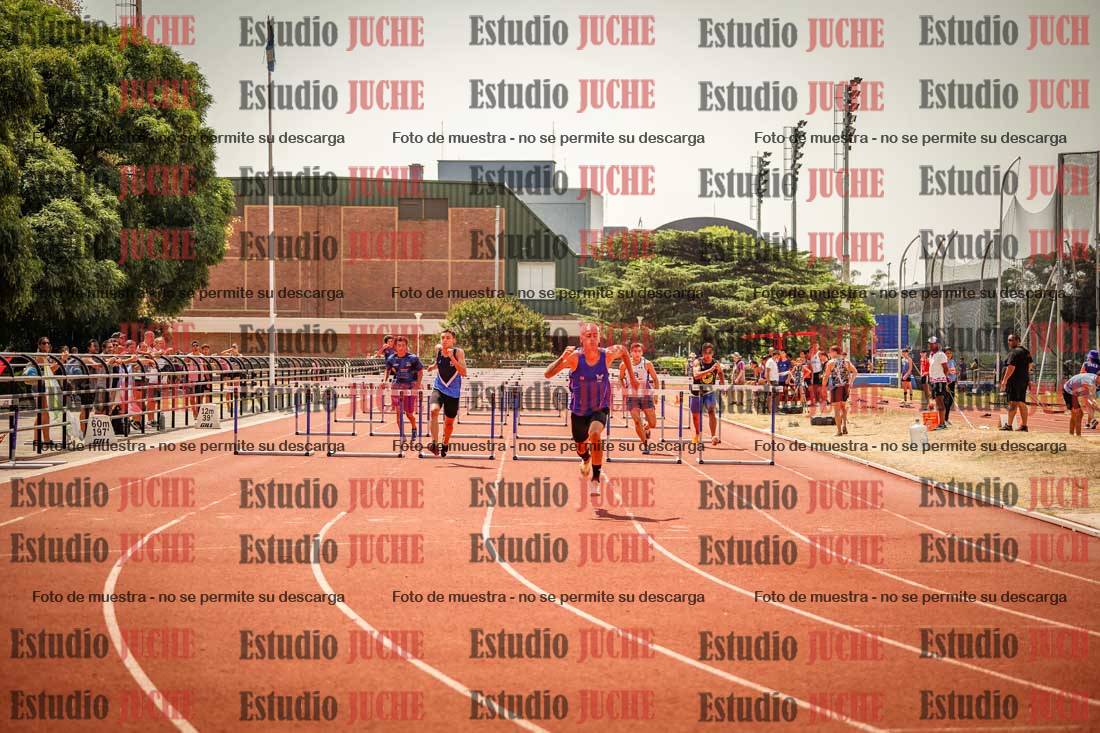 Fotos de los 110 m con vallas de varones