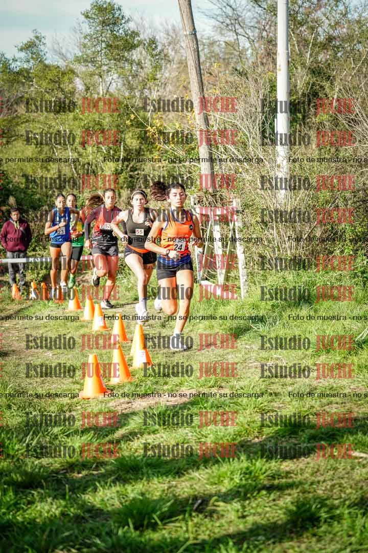 Fotos en el circuito