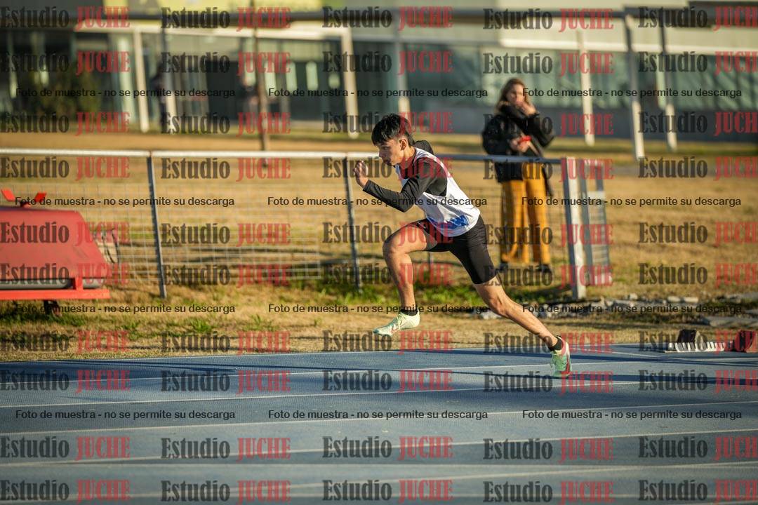Fotos de los 110 m con vallas de varones