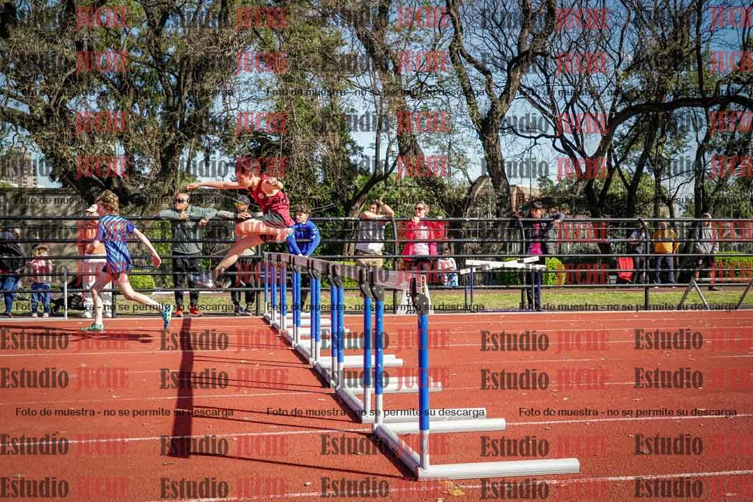 Fotos de los 110 m con vallas de varones
