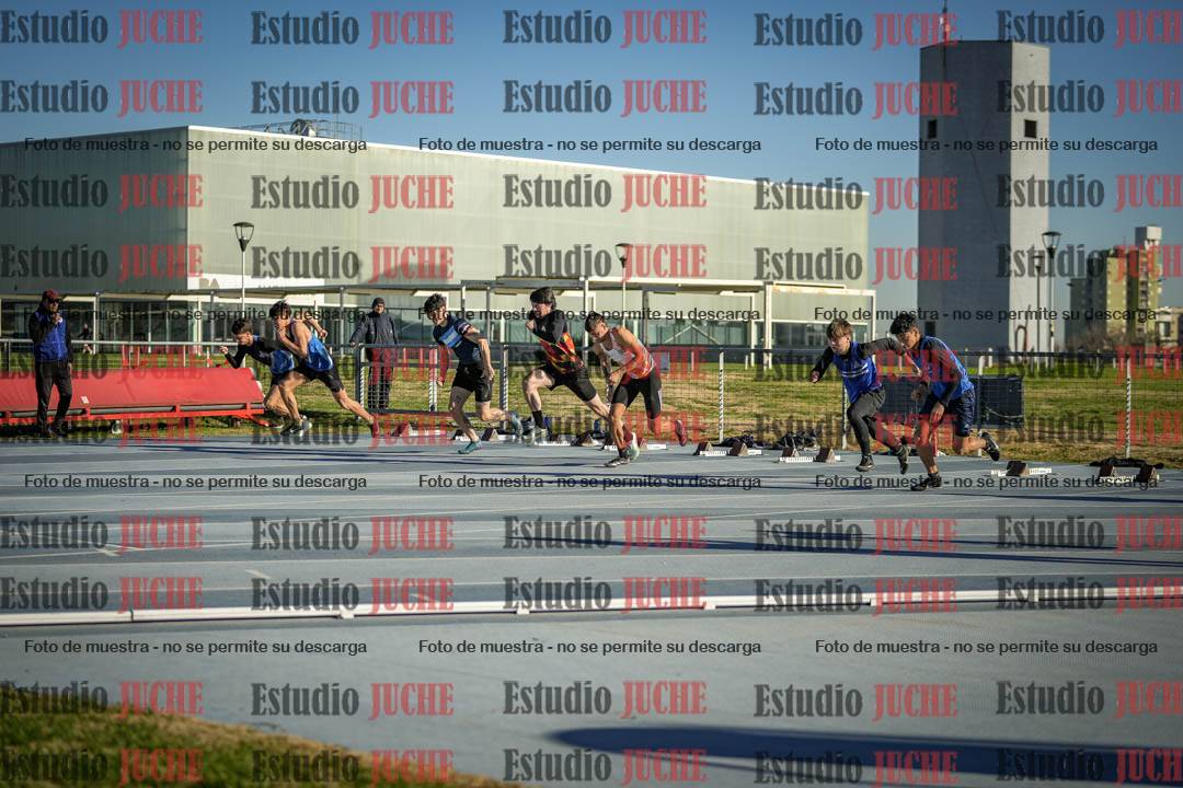Fotos de los 110 m con vallas de varones