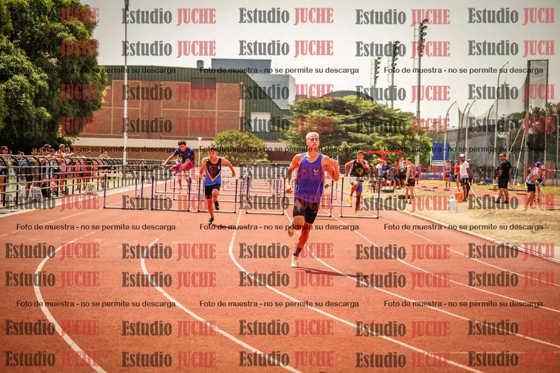 Fotos de los 110 m con vallas de varones