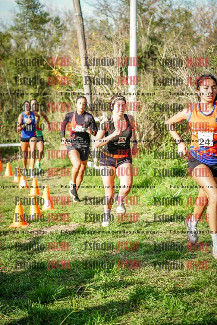 Fotos en el circuito