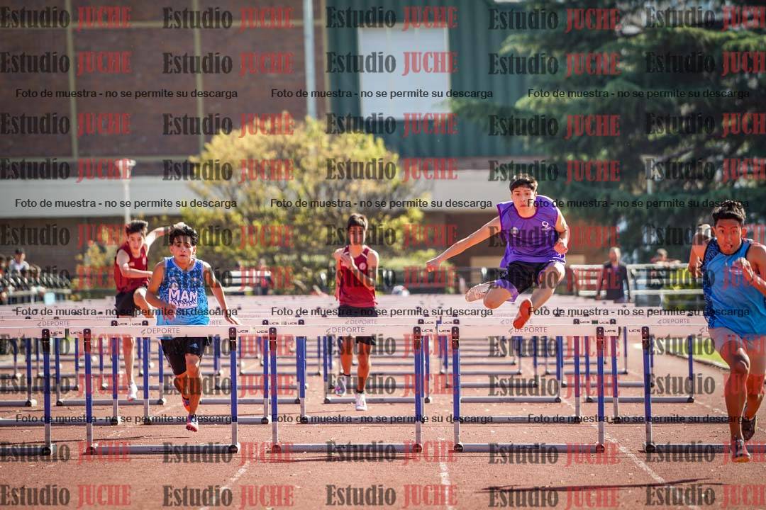Fotos de los 110 m con vallas de varones