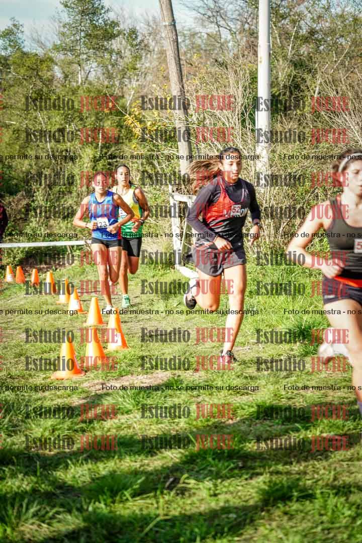 Fotos en el circuito