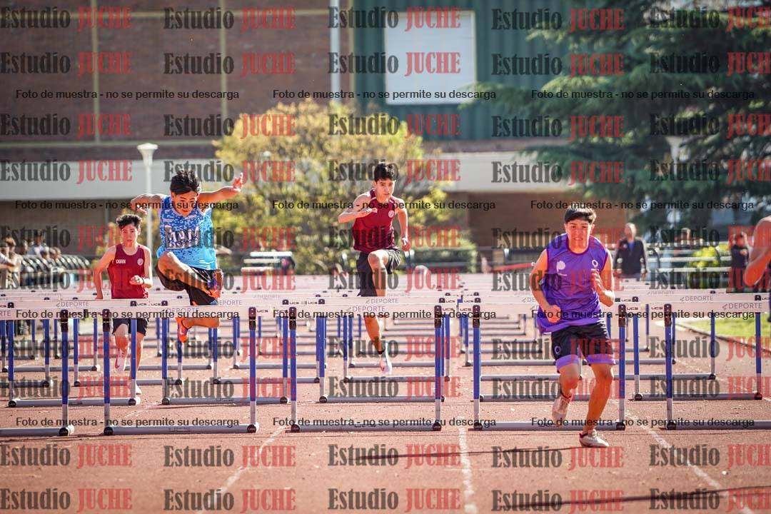 Fotos de los 110 m con vallas de varones