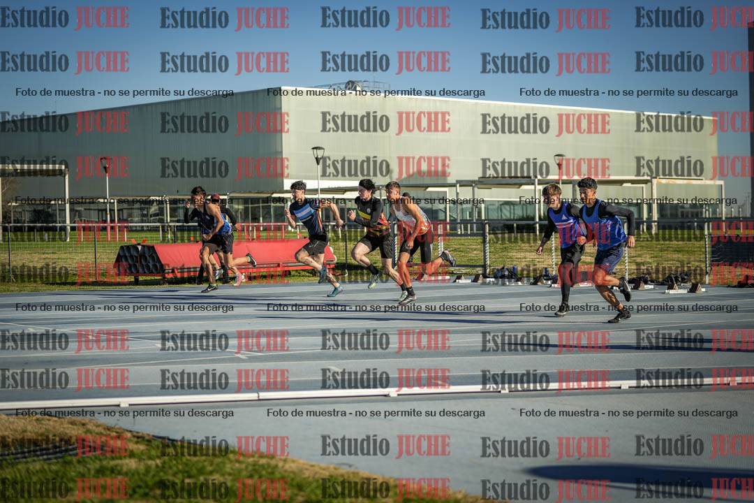 Fotos de los 110 m con vallas de varones