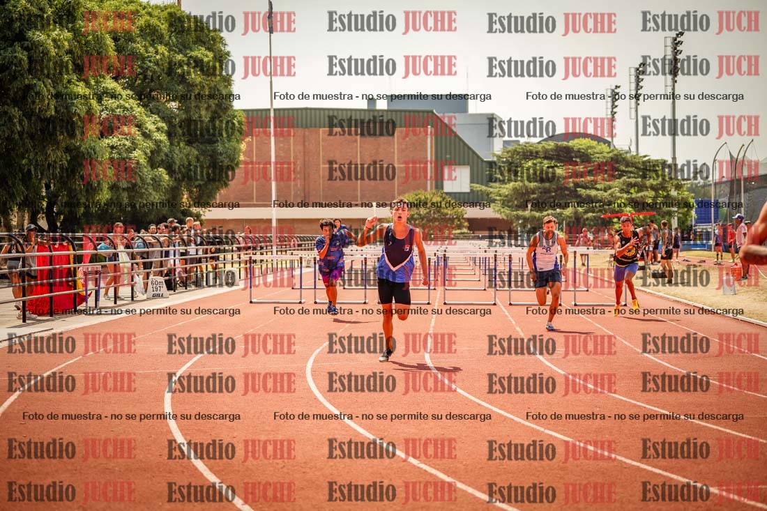 Fotos de los 110 m con vallas de varones