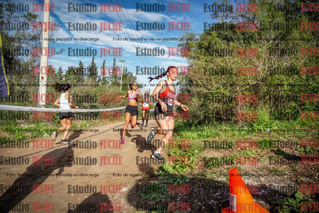 Fotos en el circuito
