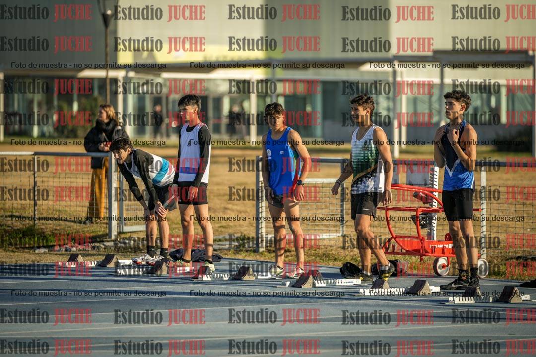 Fotos de los 110 m con vallas de varones