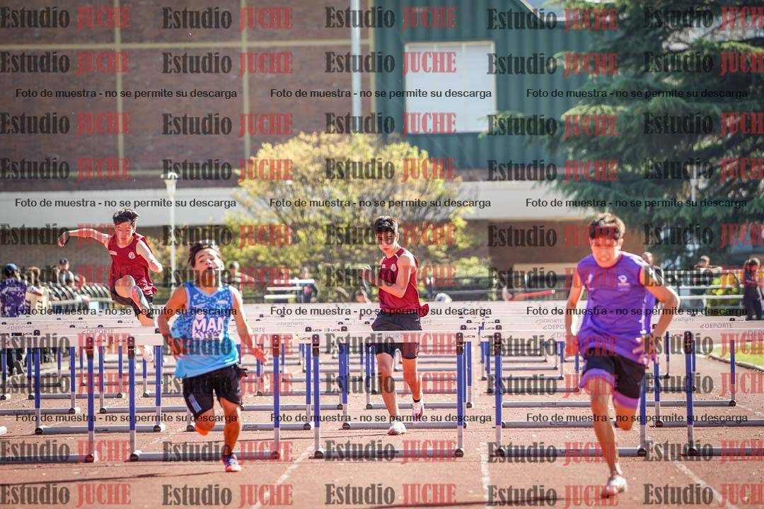 Fotos de los 110 m con vallas de varones