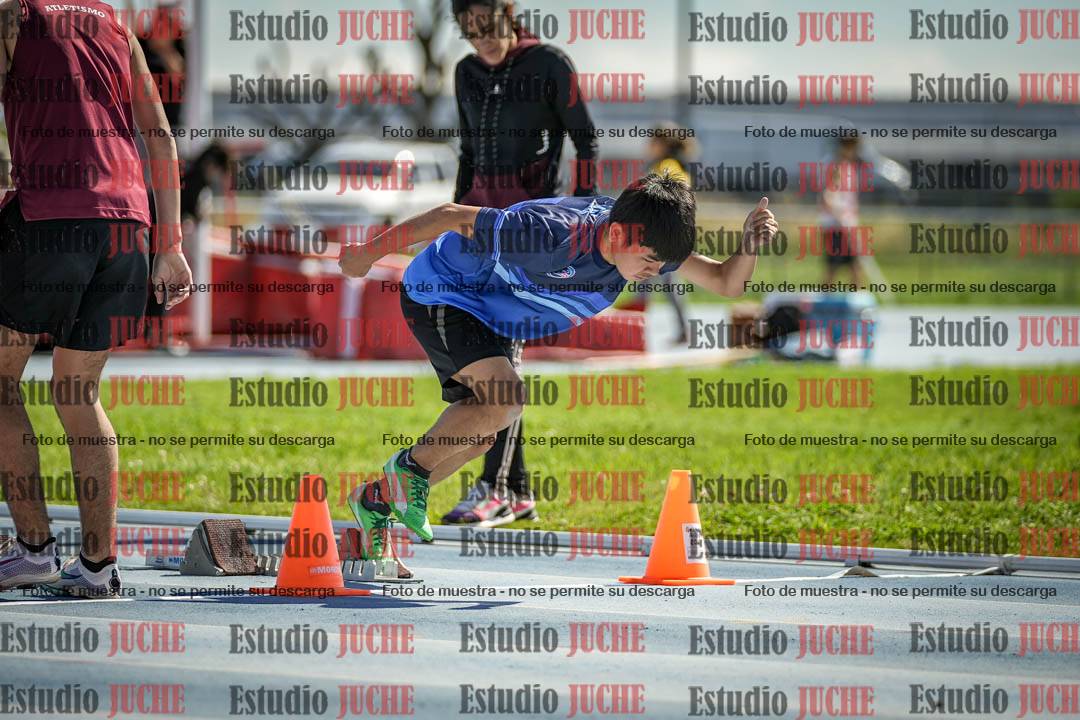 Fotos de los 80 m con vallas de varones