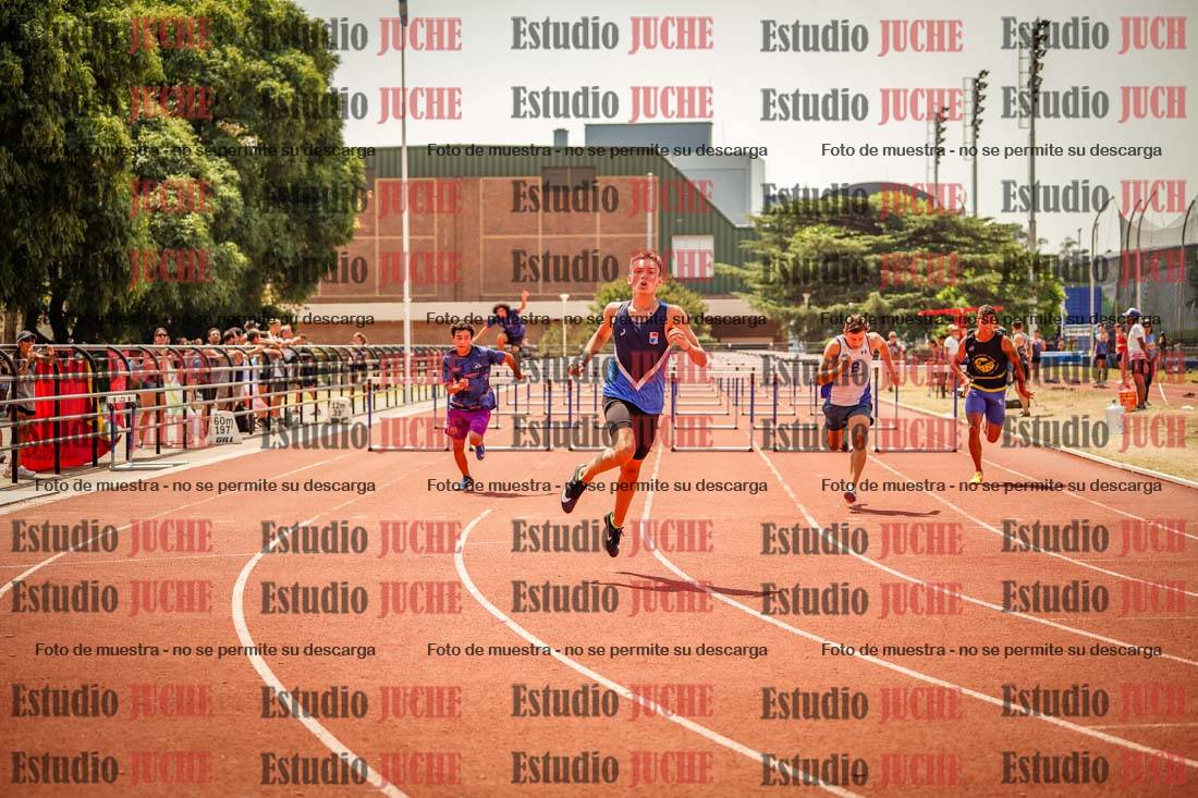 Fotos de los 110 m con vallas de varones