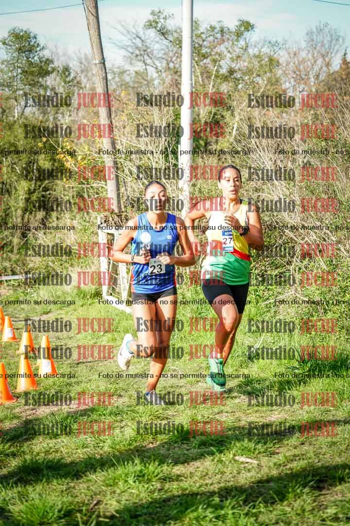 Fotos en el circuito