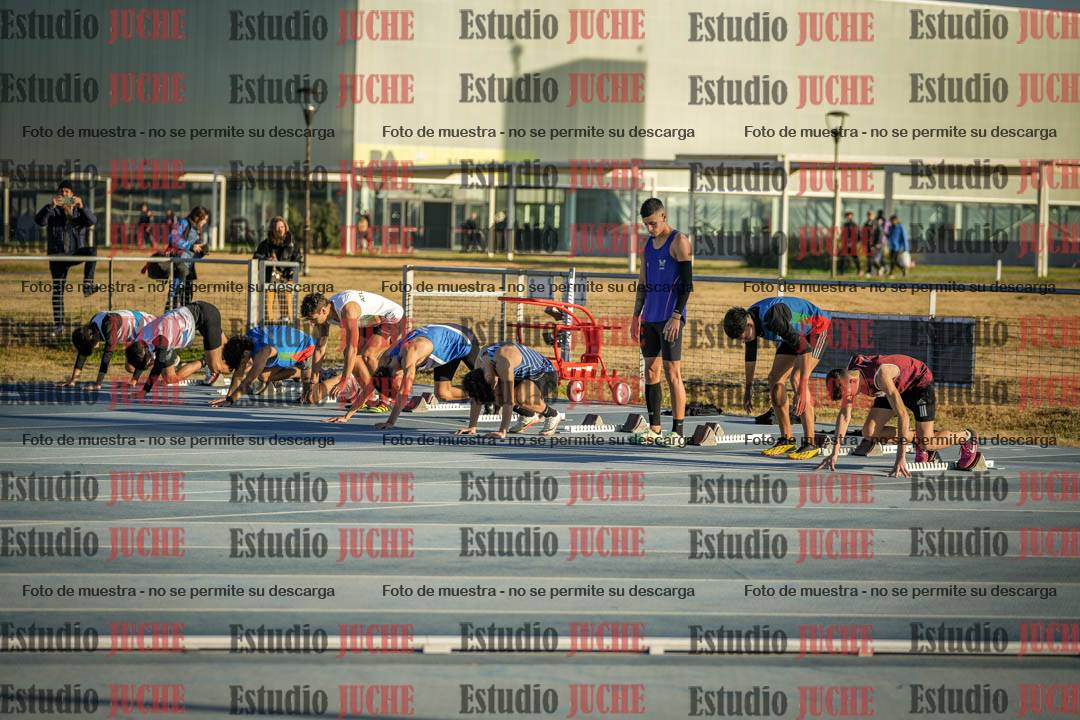 Fotos de los 110 m con vallas de varones