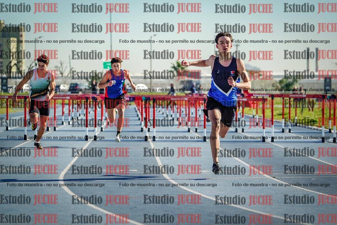 Fotos de los 110 m con vallas de varones