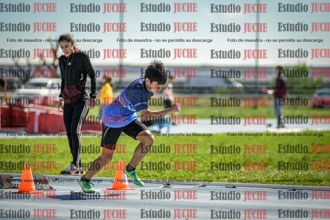 Fotos de los 80 m con vallas de varones