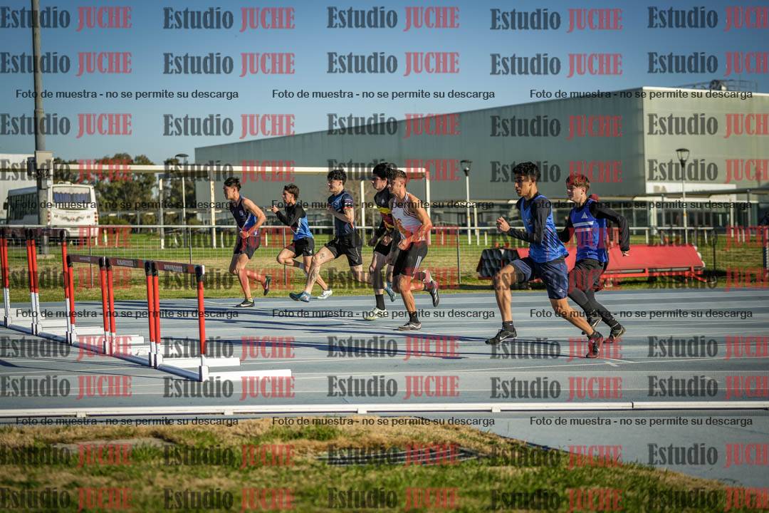 Fotos de los 110 m con vallas de varones