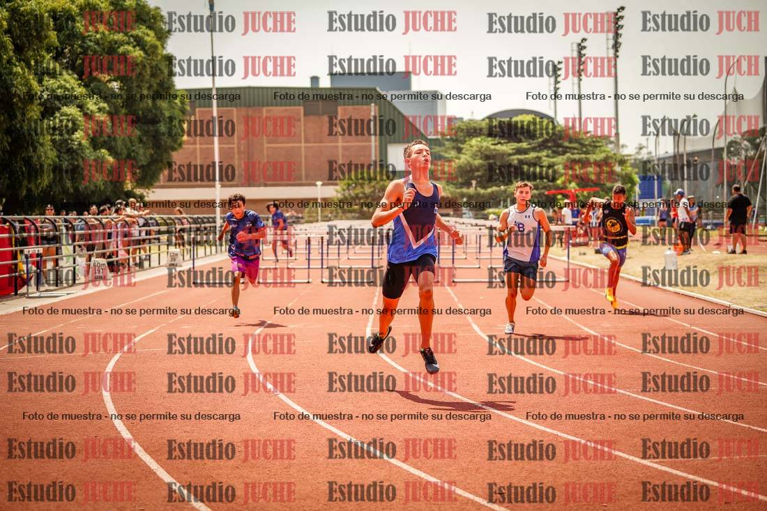 Fotos de los 110 m con vallas de varones