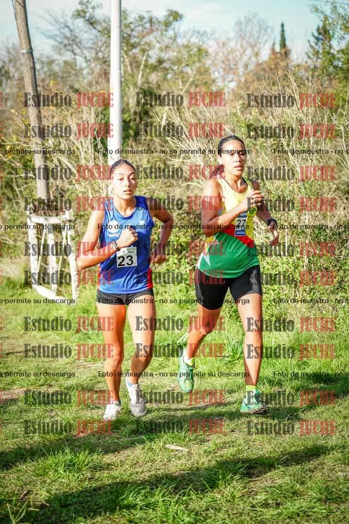 Fotos en el circuito