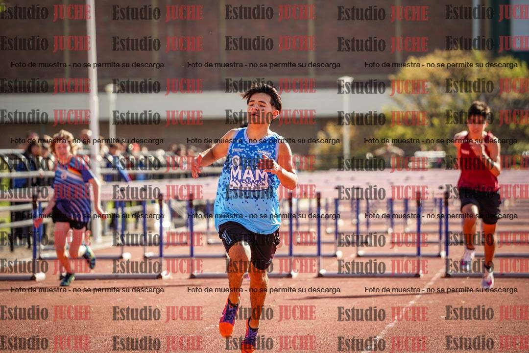 Fotos de los 110 m con vallas de varones