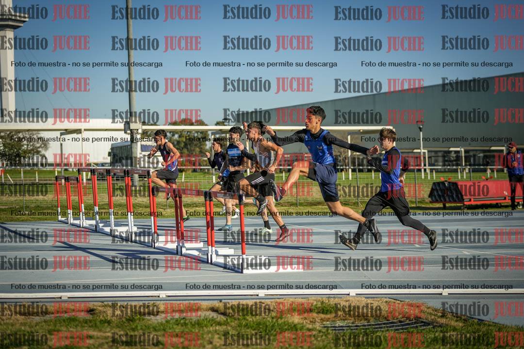 Fotos de los 110 m con vallas de varones