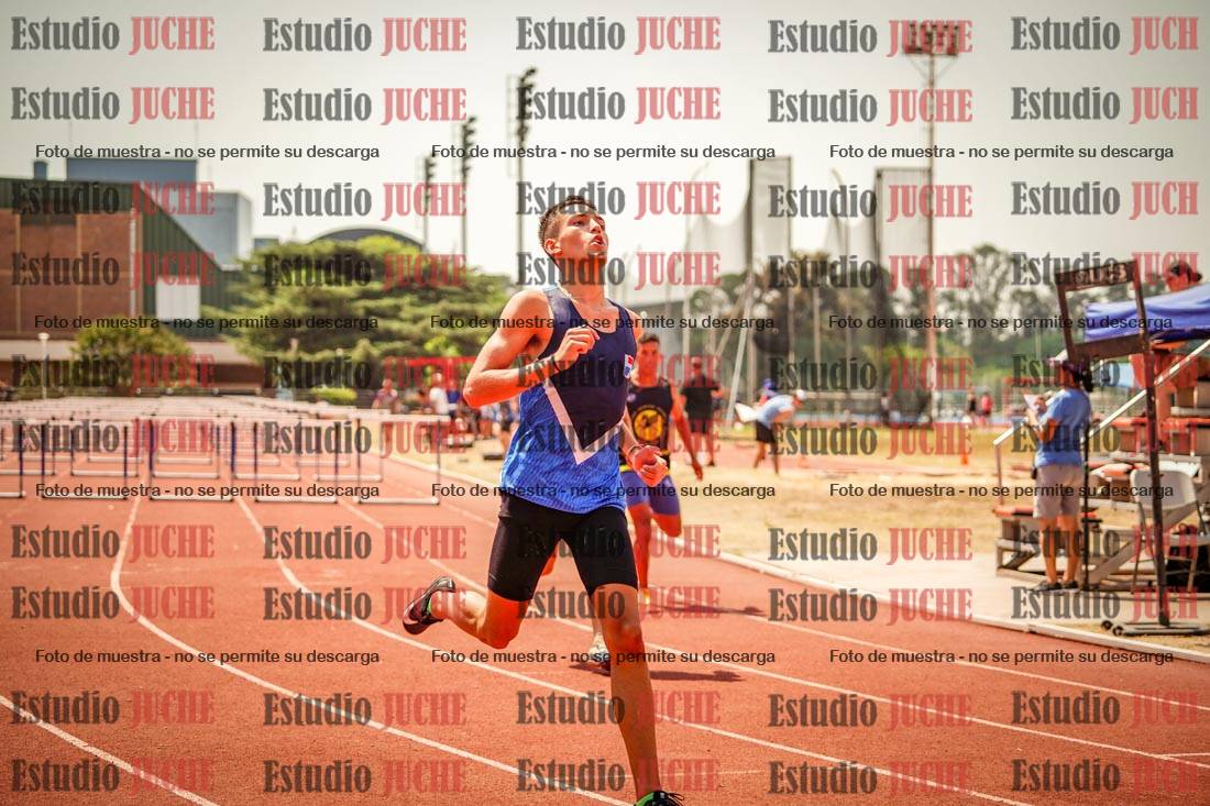 Fotos de los 110 m con vallas de varones