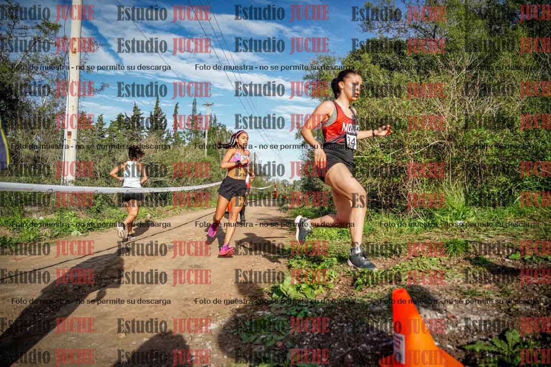 Fotos en el circuito