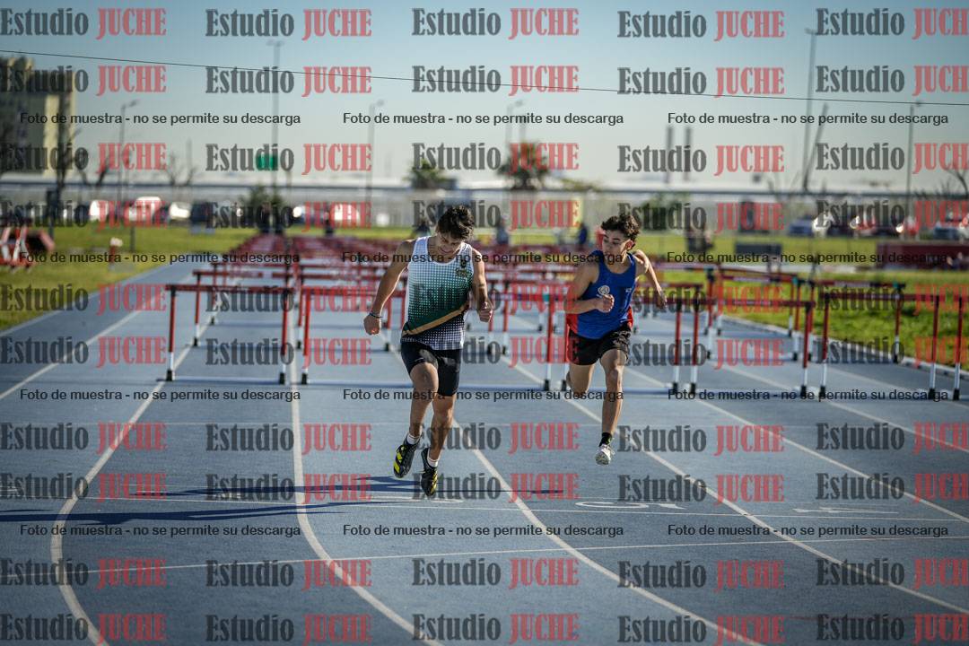 Fotos de los 110 m con vallas de varones
