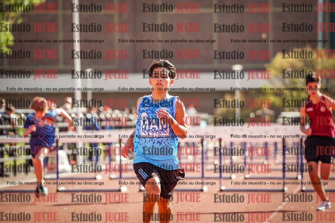 Fotos de los 110 m con vallas de varones