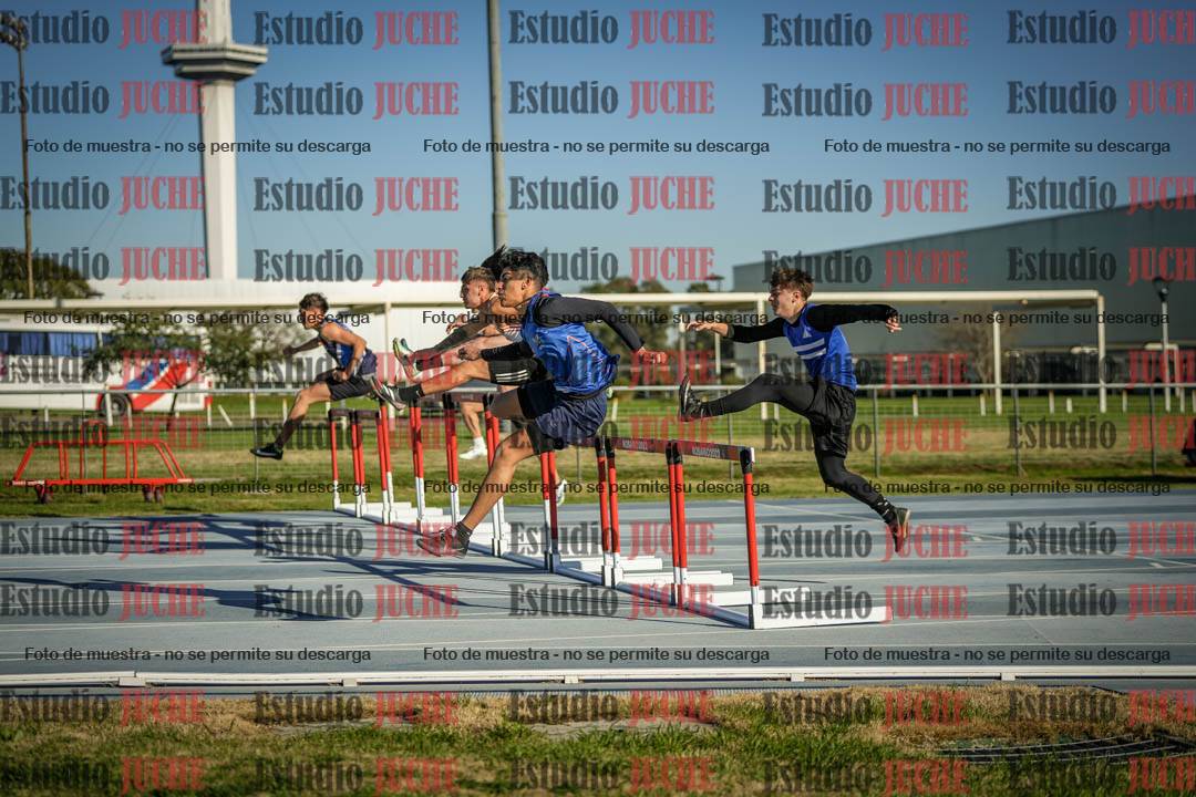 Fotos de los 110 m con vallas de varones