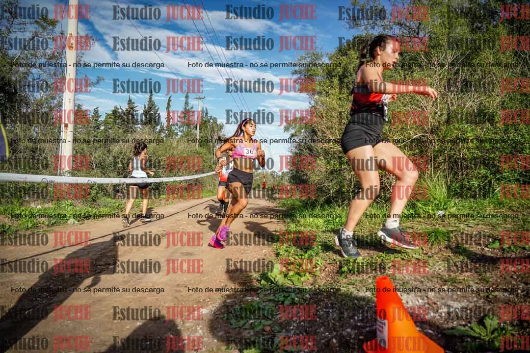 Fotos en el circuito
