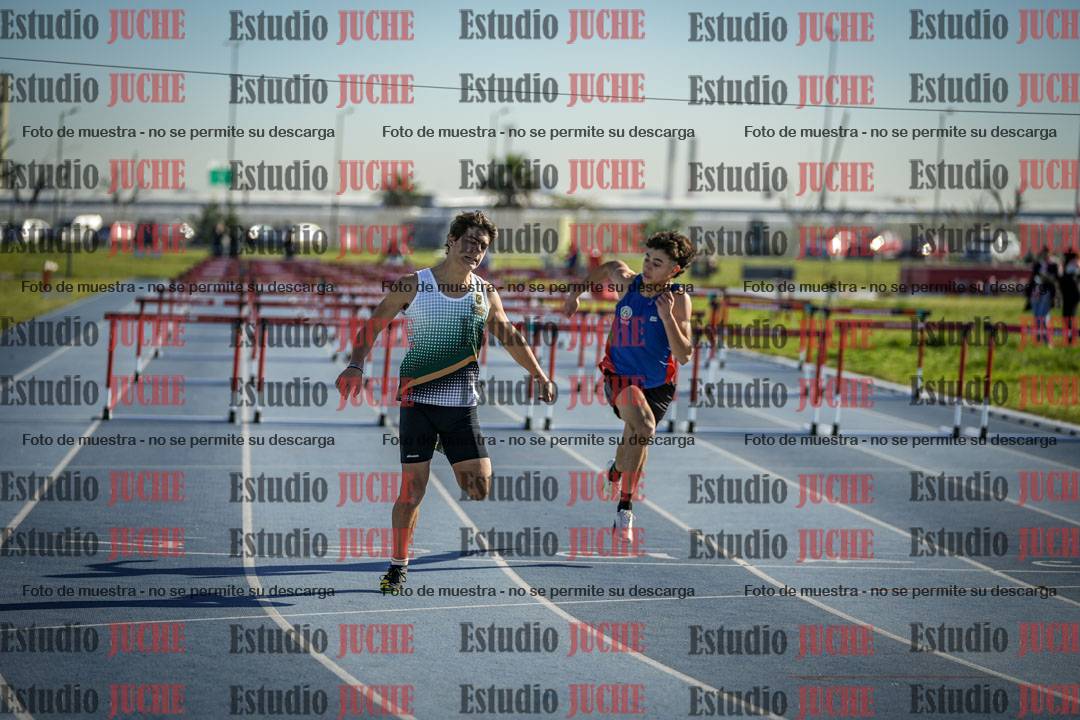 Fotos de los 110 m con vallas de varones