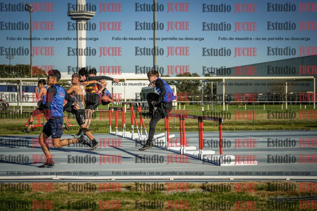 Fotos de los 110 m con vallas de varones