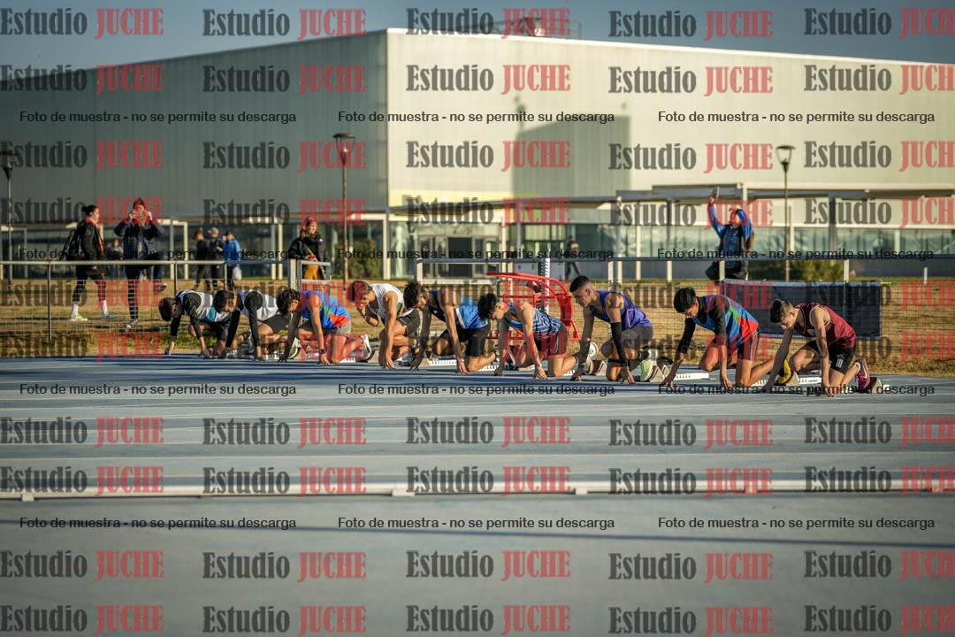 Fotos de los 110 m con vallas de varones