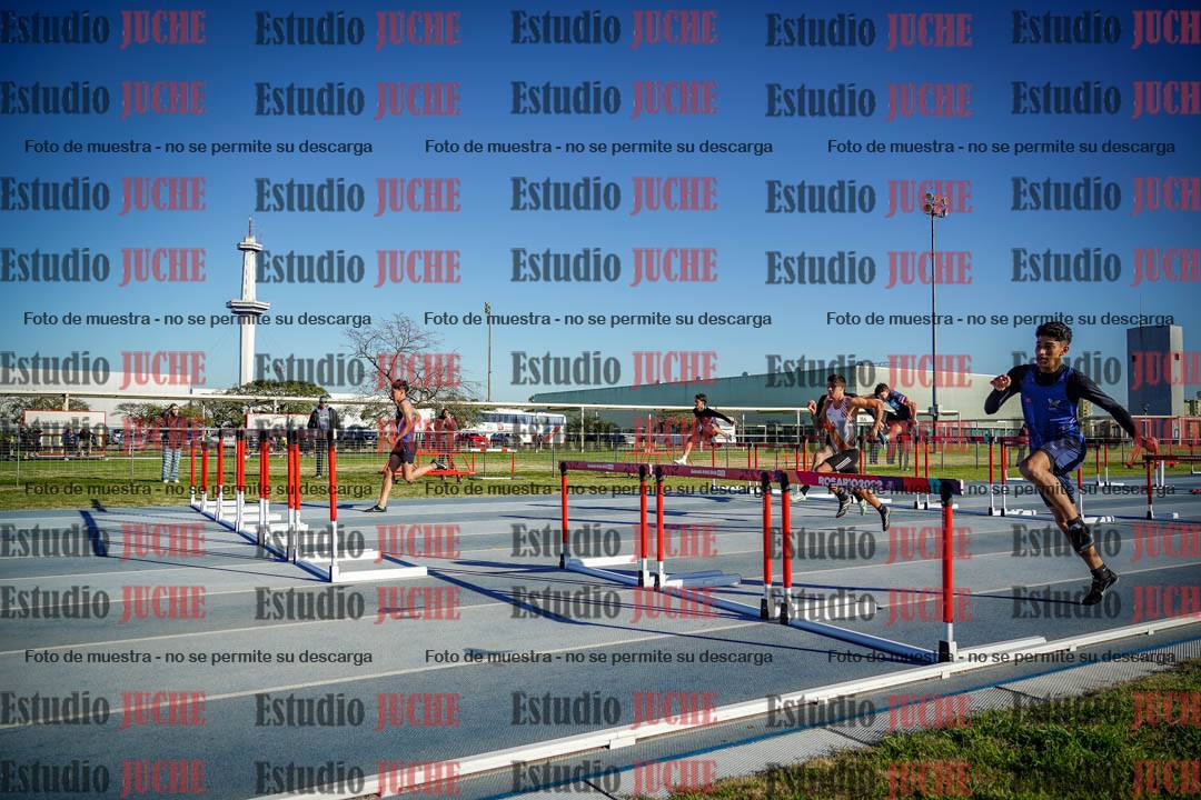 Fotos de los 110 m con vallas de varones