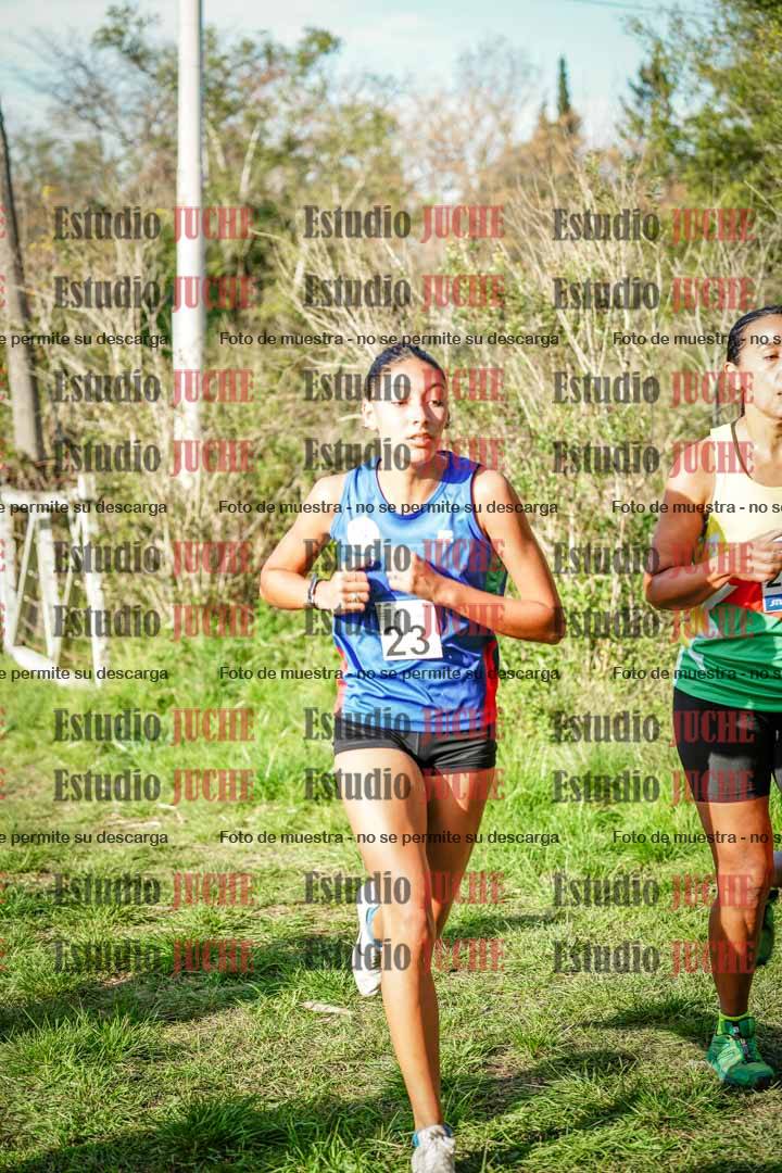 Fotos en el circuito