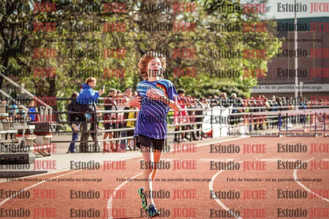 Fotos de los 110 m con vallas de varones