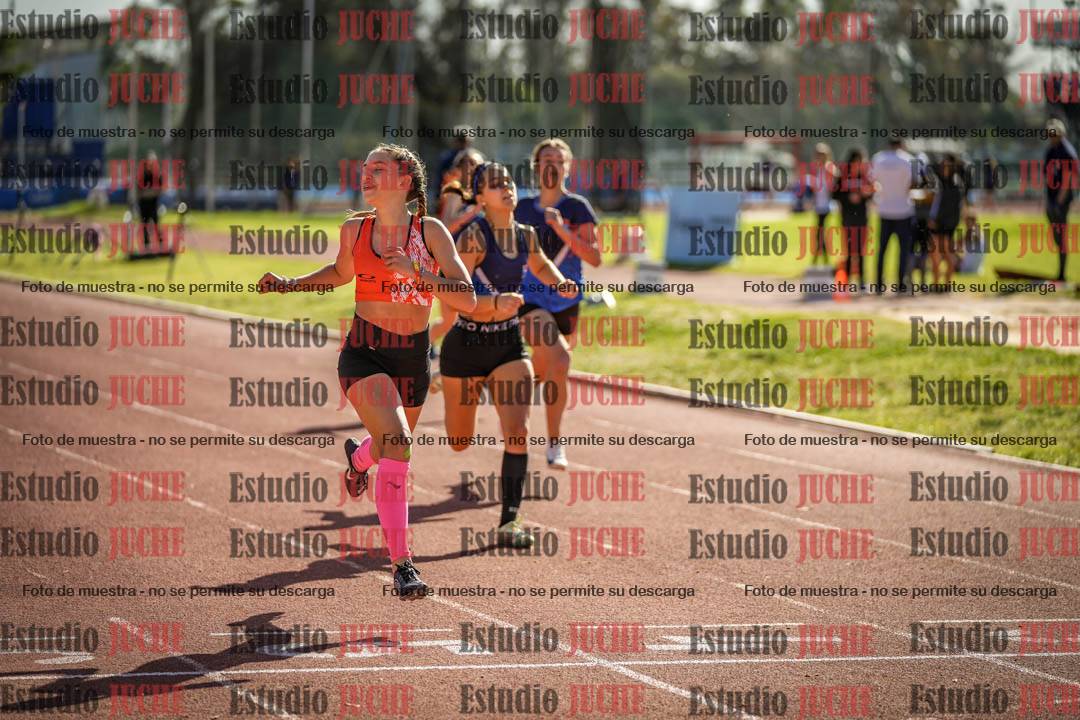 Fotos de los 295 m con vallas de mujeres