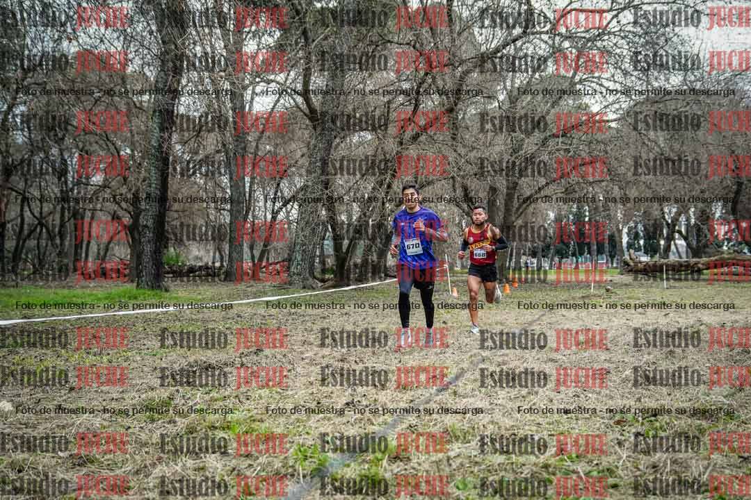 Fotos en el circuito