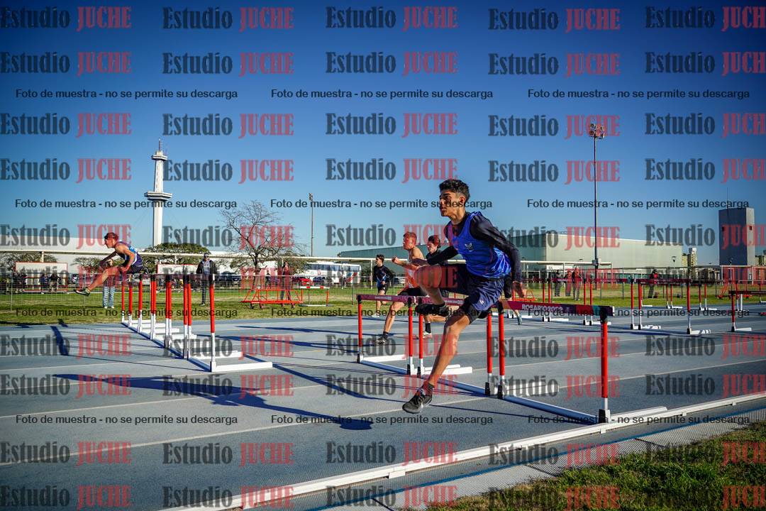 Fotos de los 110 m con vallas de varones