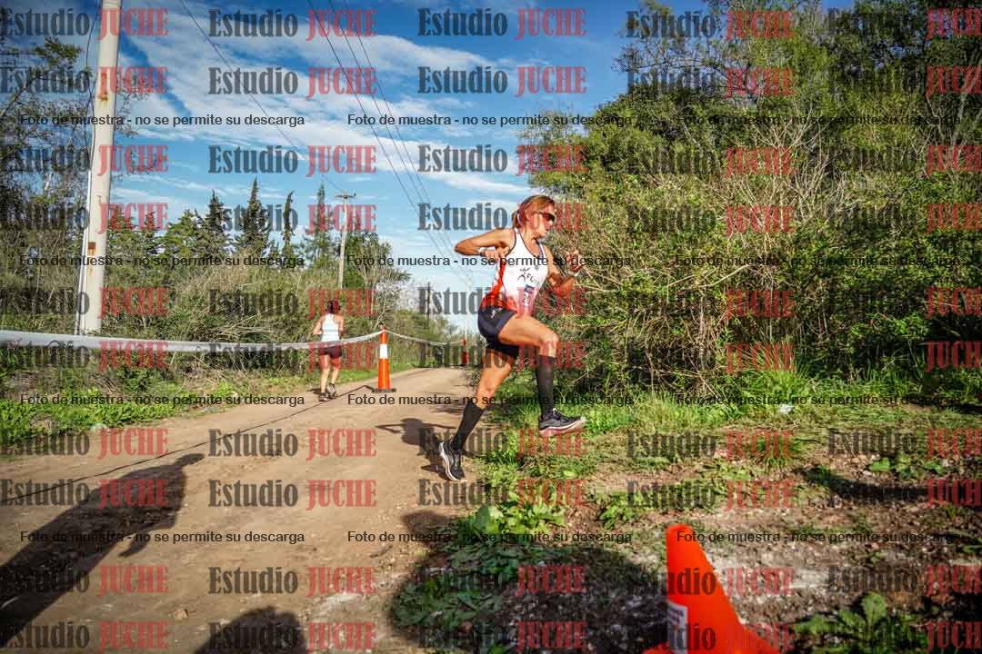 Fotos en el circuito