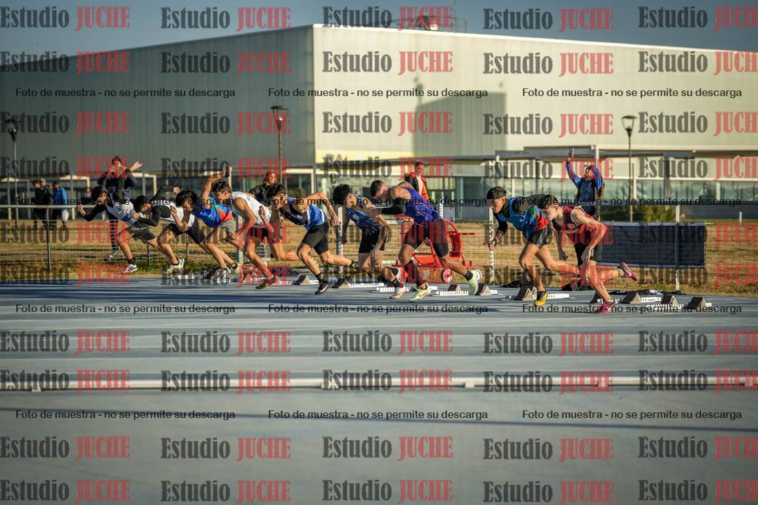 Fotos de los 110 m con vallas de varones