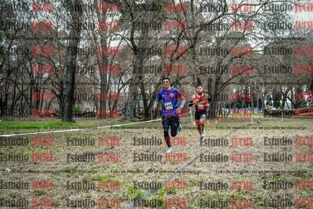 Fotos en el circuito